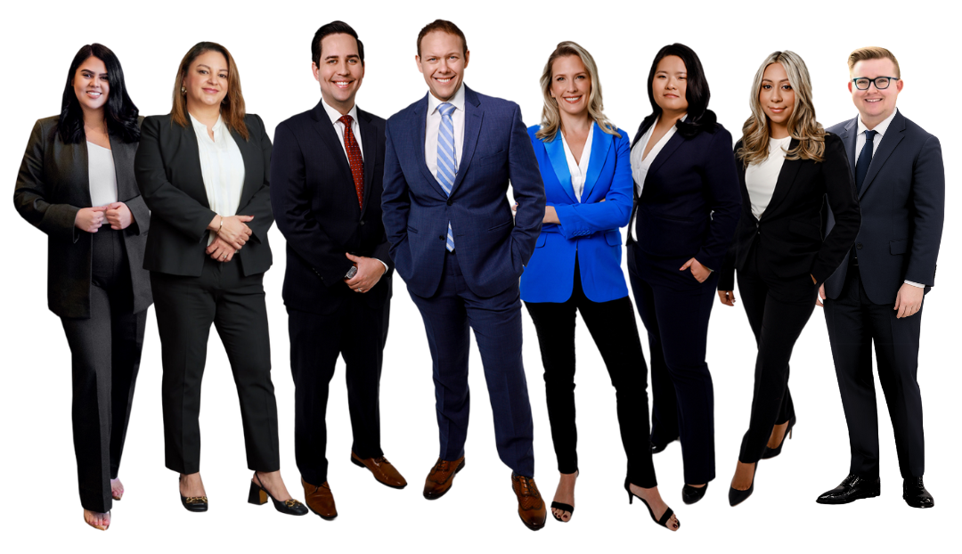 Feher Law team of employment attorneys
